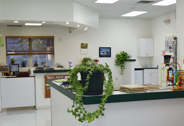 Contact All Pets Animal Hospital
